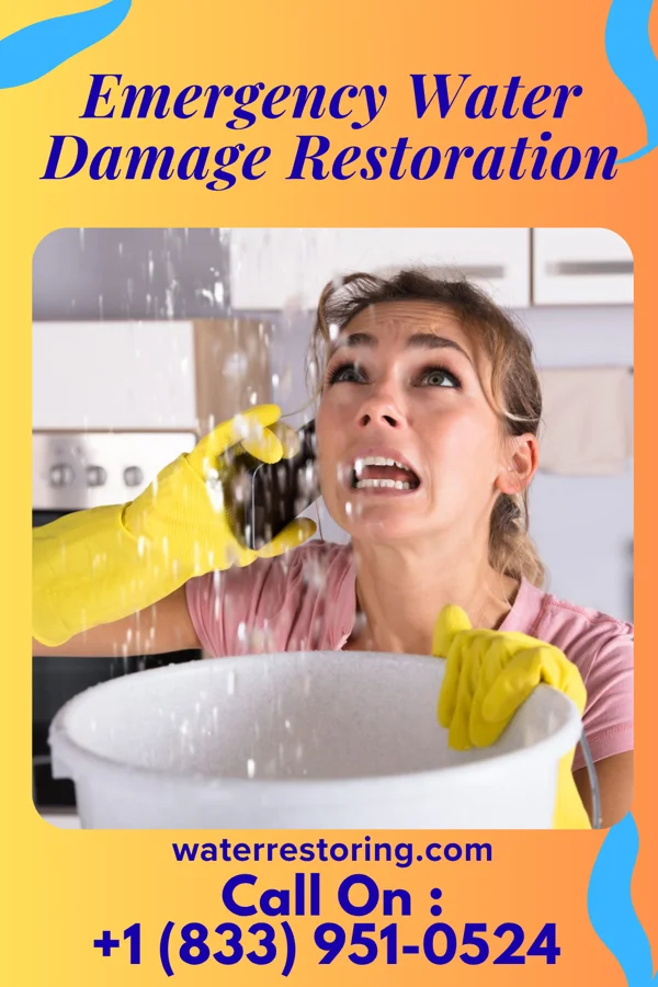 Emergency Water Damage Restoration in Rock Island Arsenal, IL